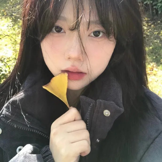 希莉丝在纽约